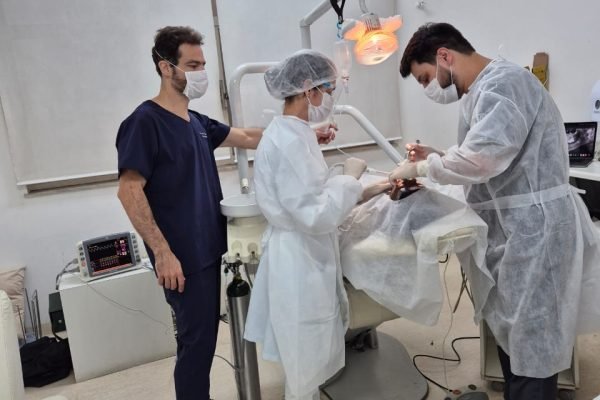 b5c36ccf-80c3-47ee-a205-9f060eb276e8